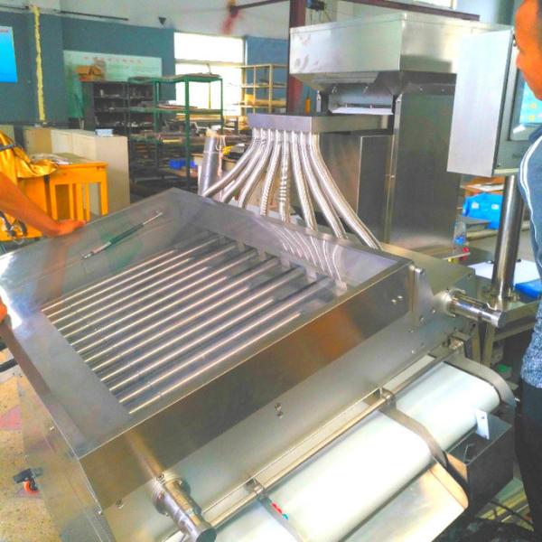 Máquina de classificação do tamanho e da forma da cápsula do apintball do controle do PLC