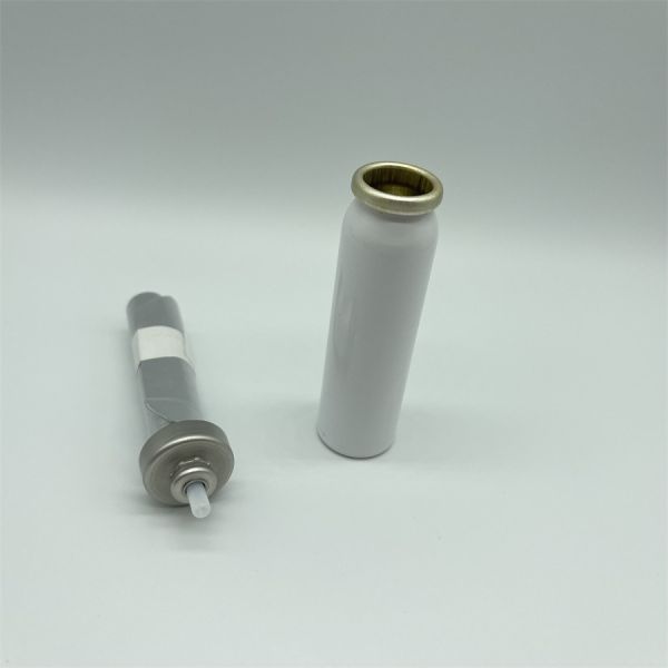 Luxury Bag on Valve Spray for Fine Fragrances with Silky Mist Dispersion & Customizable Scent Profiles