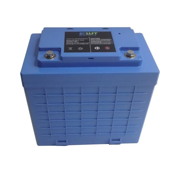 El paquete de baterías de litio hierro fosfato de 12V de promoción 12.8v Lifepo4 batería