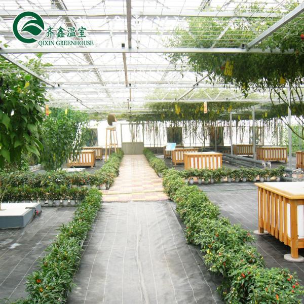 Vegetable Fruits Flowers Tomatoes PC Sheet Greenhouses for Eco-Conscious Restaurants
