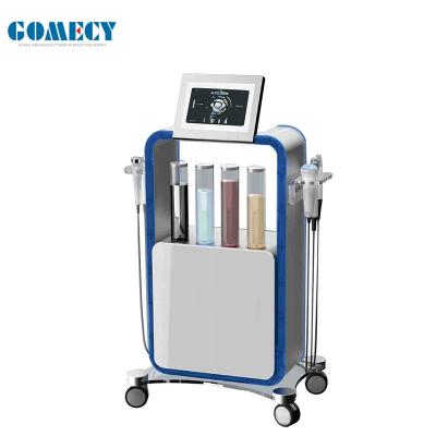 Vertical 5 In 1 Hydrafacial Cavitation RF Facial Care Machine Skin Cleaning