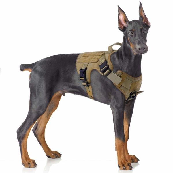 Veste ajustável tática Molle de trabalho militar do chicote de fios do cão para investir o nylon 1050D de formação