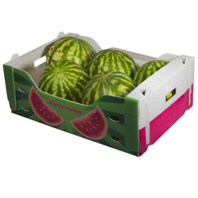 Caixa de frutas por composição de material de PP de baixo preço