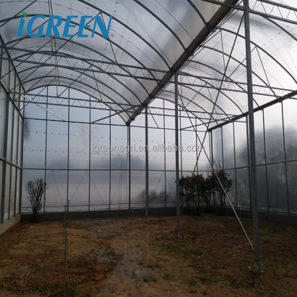 Customized Poly Tunnel Greenhouse Multi Span Agricultural polycarbonate tunnel greenhouse