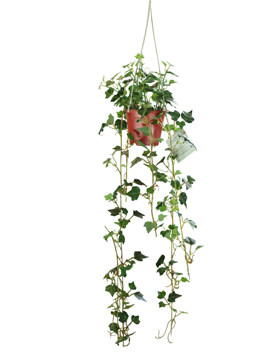 Прочный завод лозы H70cm искусственный, поддельное вися на открытом воздухе лоз крытое