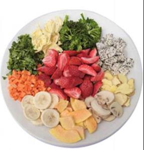 La pantalla táctil comercial de alta velocidad del PLC de la máquina de la liofilización del vacío controló