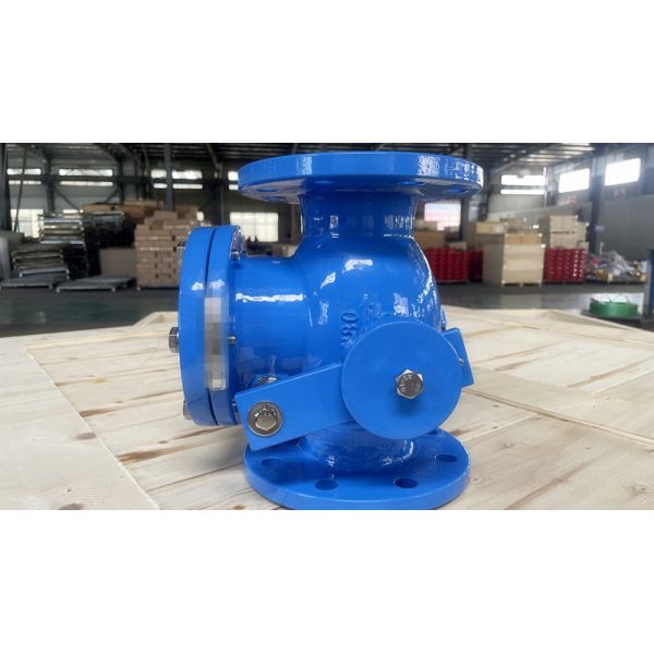 Industrial Cast Iron Check Valve with Sturdy Construction