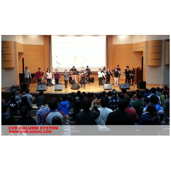 2000 Watt RMS Column Array Speakers System Professional Audio System