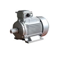 Y2 motor assíncrono trifásico do ferro fundido IP55 0.75kw 1Hp