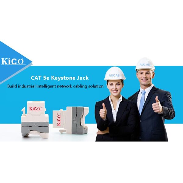 Módulo trapezoide da rede do gato 5e UTP RJ45 da inserção dos acessórios do cabo da rede do OEM