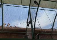 30mm 1.5mm Flexible Stainless Steel Rope Mesh Cable Wire Net For Zoo Animals Safety Fence