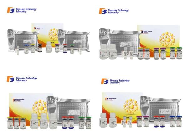 Antithrombin 3 Immunoassay Test Kits High Precision With 2 Hours Assay Time