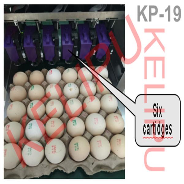 Eggs Date Coding Machine With Six 45ml Cartridges Each Can Print 20000 Eggs