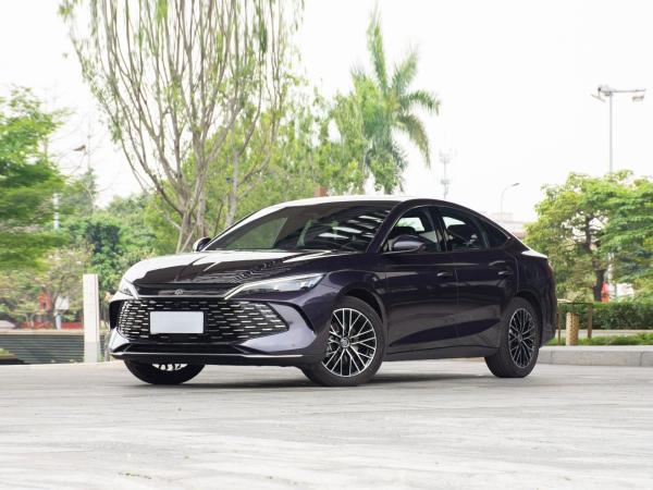 Pneus 225/50 R18 Personalizável Byd Qinl 2024 modelo Dm-I 120km Excelência Versão Top Versão