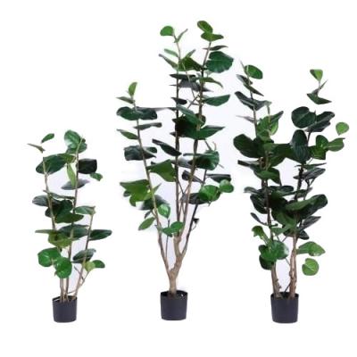 Plantas exteriores artificiais Polyscias de seda quase natural Balfouriana Bailey das multi hastes