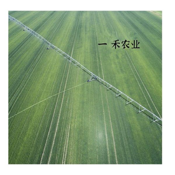 Portable Mobile Control Agricultural Irrigation System 2200 KG Farms Movable Center Pivot Metal Gearbox Bearing Used Sale