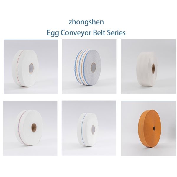 Customized Width Anti-Bacterial High Tenacity Polypropylene Egg Conveyor Belt for Poultry Farms