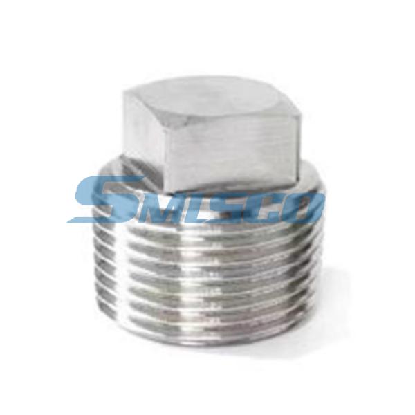 Casting 304 Stainless Steel Hex Plug Class 150 Threaded NPT