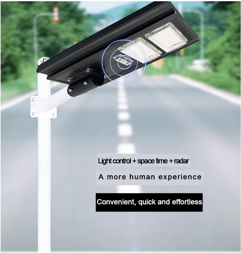 Lighting and Circuitry Design for 0.23kg Power Induction Street Light in Rural Areas