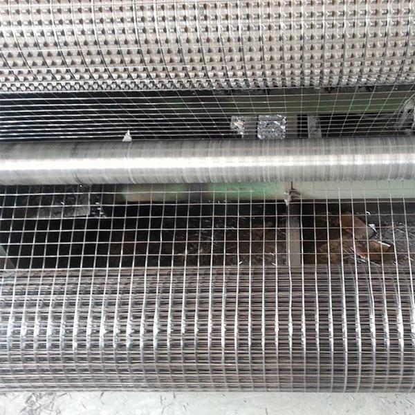 Square Hot Dipped Galvanized 0.5mm 4x4 Welded Wire Mesh