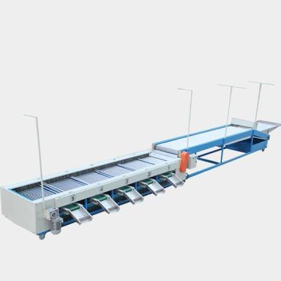 3.8kw da lata 3 - 6 máquina de classificação do fruto do melão do citrino das categorias