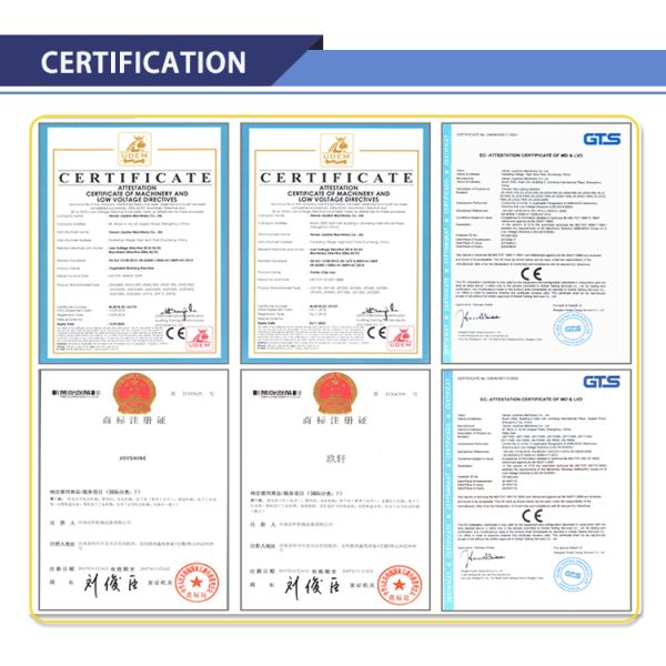 200kg/H 42kw Garri Frying Machine Pork Rinds Fryer Potato Spring Machine