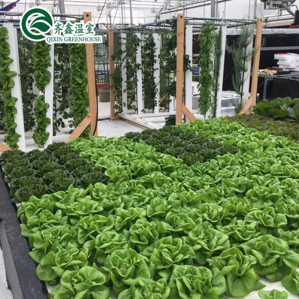 Large Hydroponic Galvanized Steel Pipe For Film Greenhouses in Double or Single Layer