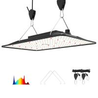 100W Quântico Led Grow Light para planta de interior em 60x60cm 80x80cm Grow Tent