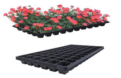 Pilhas da bandeja 72 do plantador da semente do jardim da exploração agrícola da flor da germinação