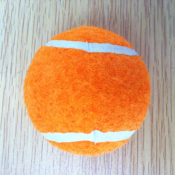 orange  ball dog toy