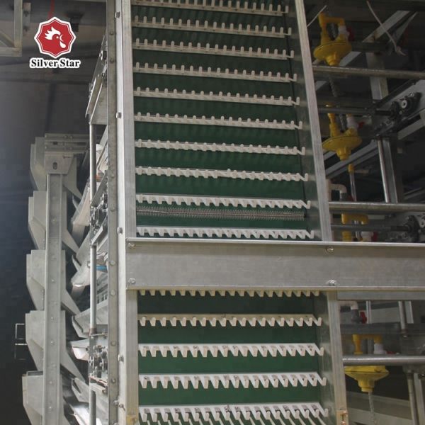Poultry Cage/cages for Laying Hens Used/chicken Breeding Equipment