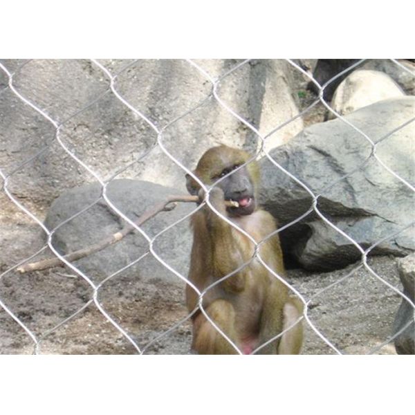 stainless steel rope mesh/cable mesh/stainless steel cable mesh/stainless steel cable/stainless steel wire rope mesh
