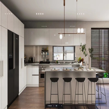 Custom Modular Kitchen Cabinets with Glossy Paint-Free Design and Shaker Door Panel
