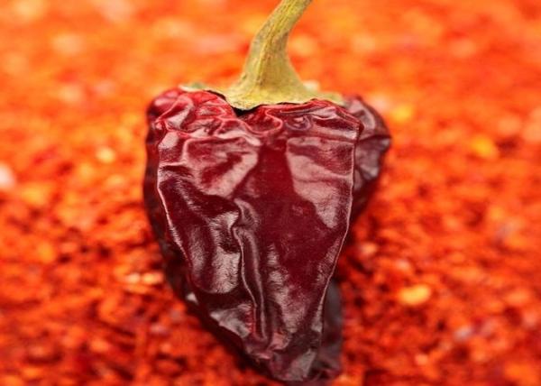 Pó de 10 pimentões de PPB que tempera 100 Scoville Chili Barbecue Powder doce