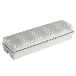 Customized LED Battery Backup Waterproof Emergency Light Power Failure IP65
