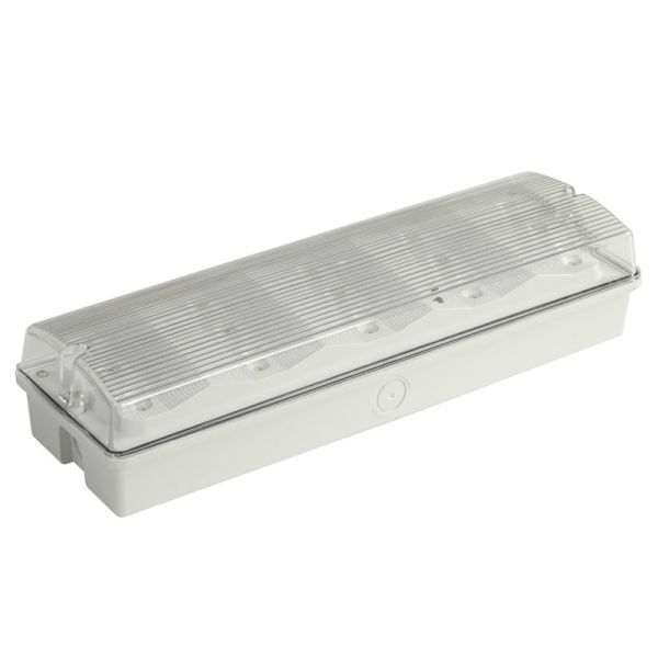 Commercial Buildings Outdoor LED Battery Backup Waterproof Emergency Light 110V 127V IP65 EL015AN