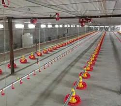 Linha de alimentação da galinha 50-100 galinhas/precisões da hora ±2g para a nutrição das aves domésticas
