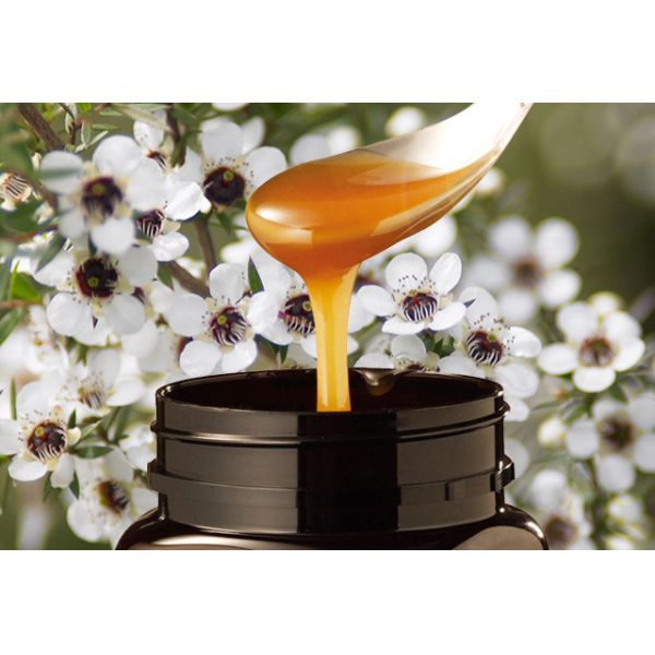 BEESTAR Raw Manuka Honey MGO100+ 250g Jar from New Zealand
