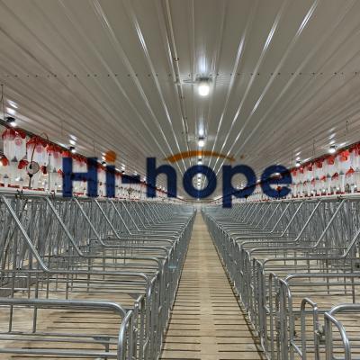 Equipamento de alimentação da corrente automática do disco da exploração agrícola da pocilga para a venda