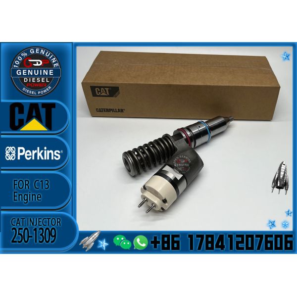 High Quality Diesel CAT Fuel Injector 250-1309 2501309 10R-3258 10R3258 For Cat C13 Excavator Parts Engine