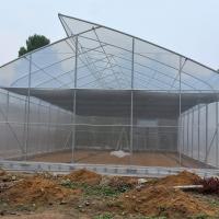 Serre chaude en acier d'approvisionnement de ferme de tunnel d'OEM de galvanisation en plastique hydroponique de serre chaude