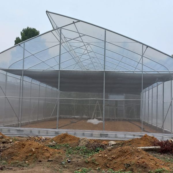 OEM Hydroponic Tunnel Plastic Greenhouse Galvanizing Steel Farm Supply Greenhouse
