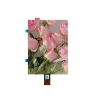 5.48 pouces Amoled Module d'affichage 1080×1920 point Faible puissance avec interface mipi