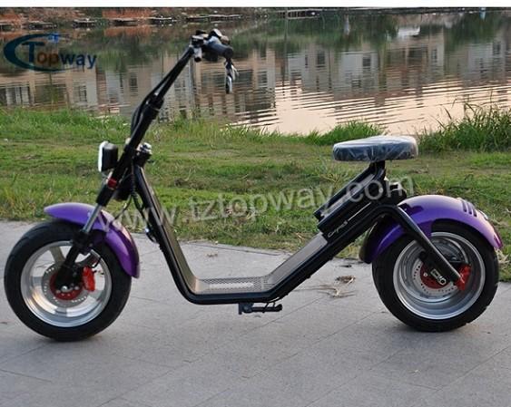 2018 New Style Two Wheel Off Road Electric Mobility Halley Scooter