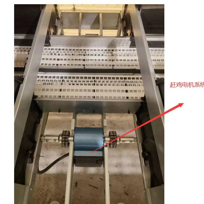 Hen Friendly Design Automatic Nest Box For Poultry Breeding And Egg Production