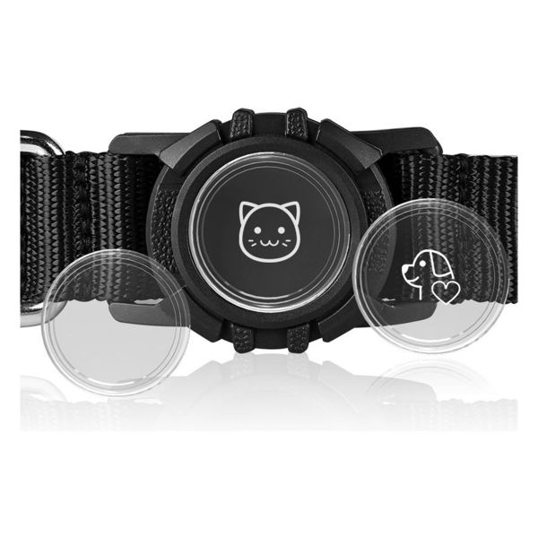 Soft Comfortable Advantage Custom Led Dog Collar with Tracker Case Waterproof Light