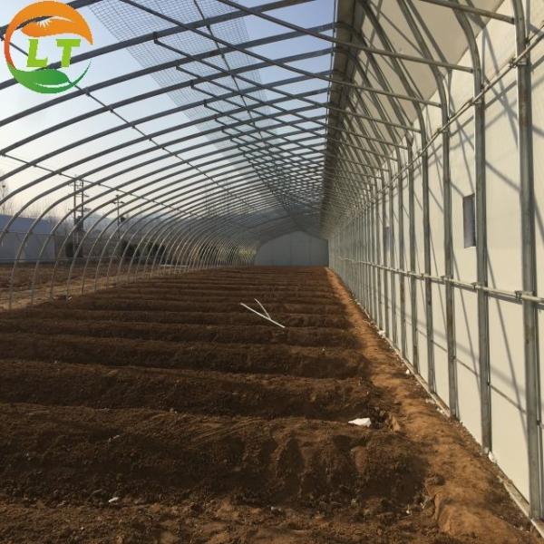 Hydroponic System Included High Strength Solar Greenhouse for Vegetable Fruits Flowers