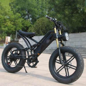 Electric Bike
