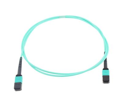 Custom MTP MPO Fiber Cable High Temperature Stability Good Exchangeability