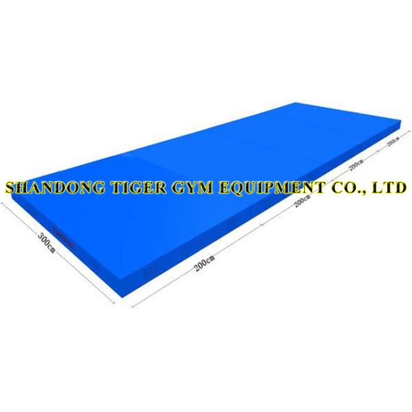 Gymnastics Equipment Gymnastics Landing Mats for Vaulting Horse (training type)